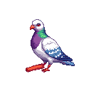 Carrier Pigeon